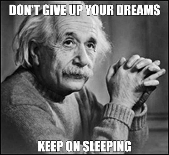 funny-dreams-sleeping-Einstein
