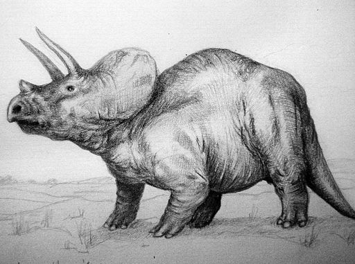 Triceratops. Because hips do lie.