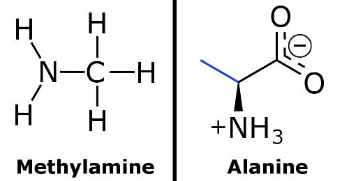Methylamine & alanine