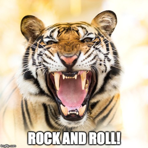Rock and Roll Meme