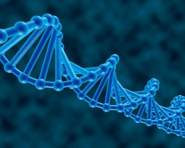 What Is Genomic Imprinting?