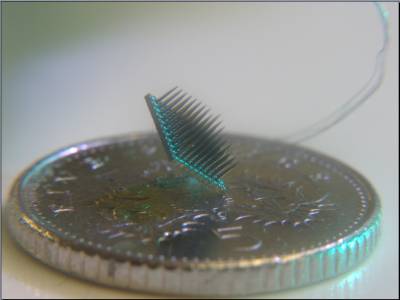 The hundred electrode array implanted in Warwick's arm. (www.terasemjournals.com)