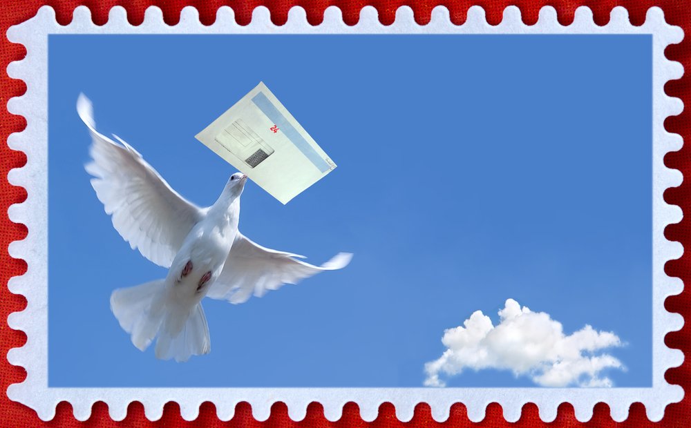pigeon post