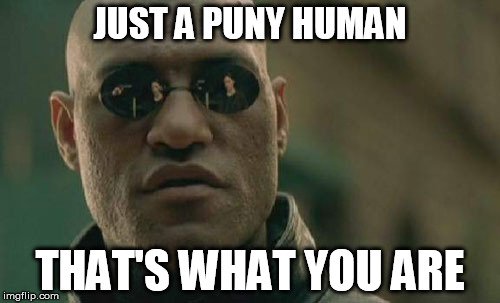 puny human meme