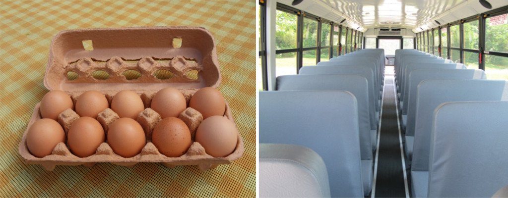 eggs and bus seats