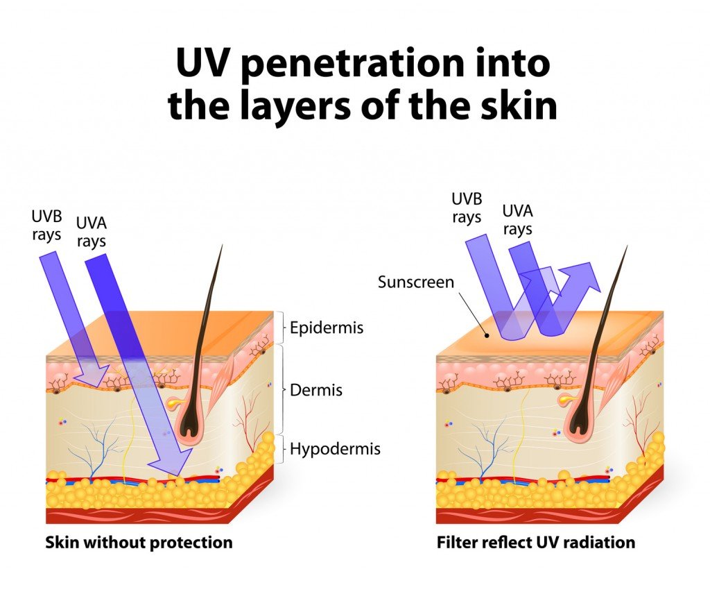 UV Radiation Penetration (Photo Credit: designua / Fotolia)