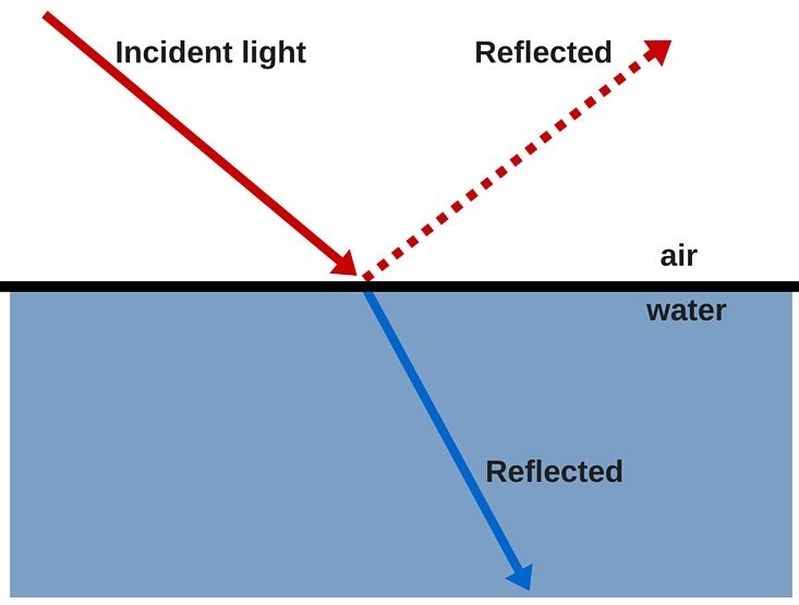 light reflection refraction through water