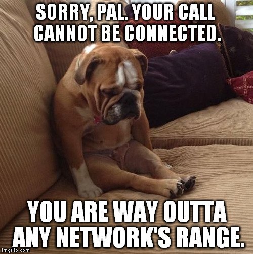 No Network Meme