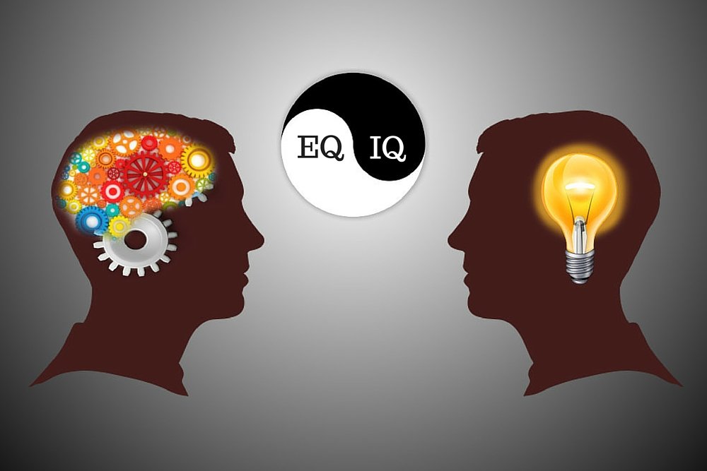 What's The Difference Between EQ And IQ?