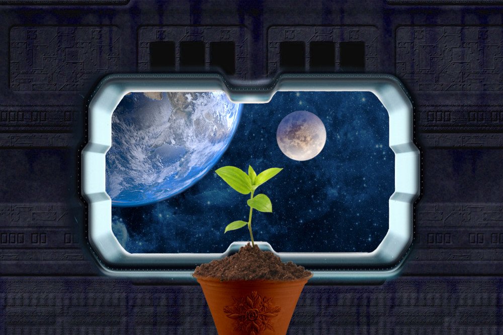 plant in space