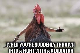 when you're suddenly thrown into a fight with a gladiator meme