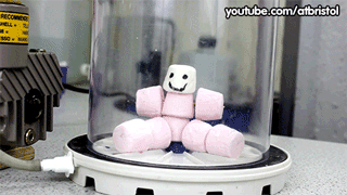 Marshmallow In Vacuum GIF