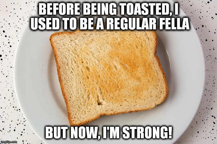 bread toasted meme 1