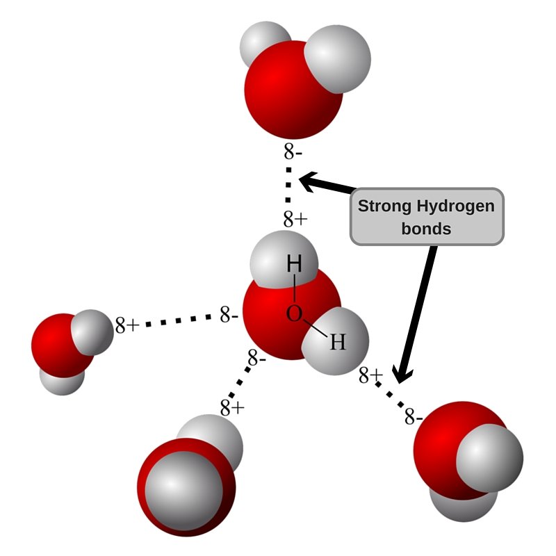 Strong Hydrogen bonds in water