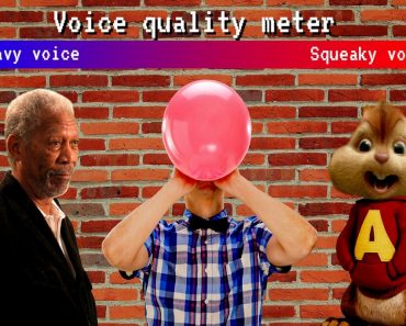 Voice quality meter