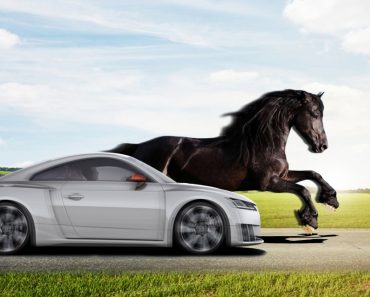 Car & horse