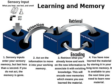 Memory Cycle