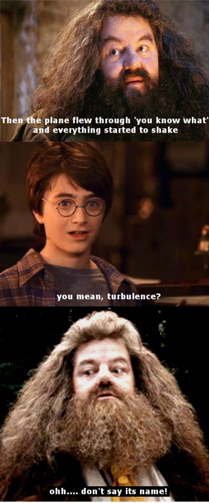 Harry hagrid meme