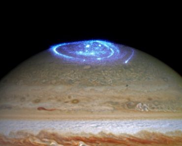 What Causes the Auroras of Jupiter?