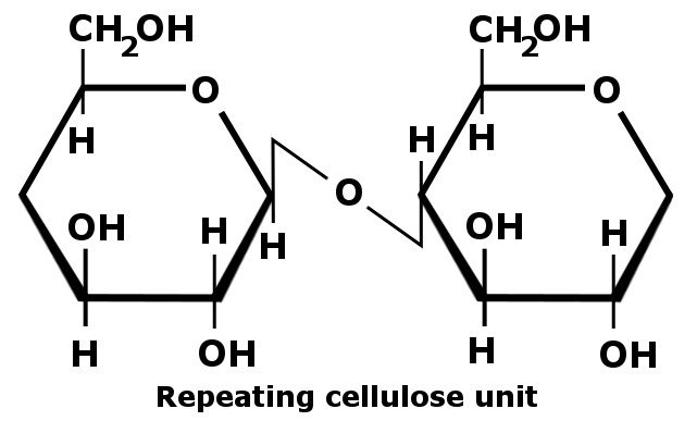 Formula Cellulose consists of many hydroxyl groups