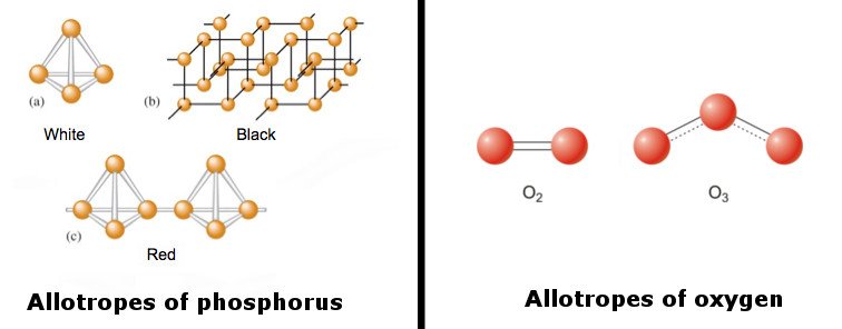 Allotropes of Phosphorus & Allotropes of Oxygen