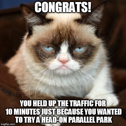 you-held-up-the-traffic-for-10-minutes-just-because-you-wanted-to-try-a-head-on-parallel-park-meme