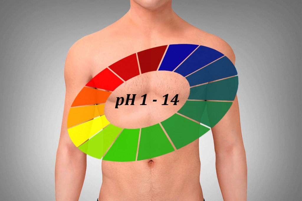 What Is The Ideal pH Of The Body?
