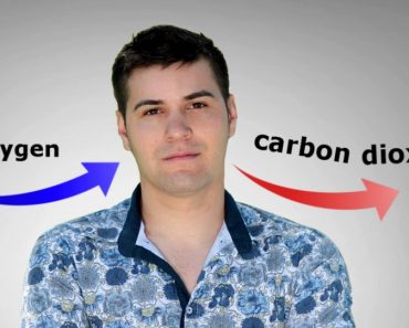 Why Does the Human Body Release Carbon Dioxide?