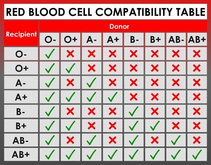 Red Blood Cell Compatibility Chart