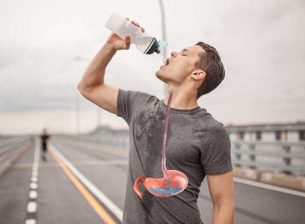 Is Your Stomach Acid (Gastric Acid) Diluted When You Drink Water?