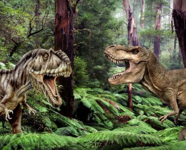 Giganotosaurus vs T Rex: Who Was The Deadliest Predator?
