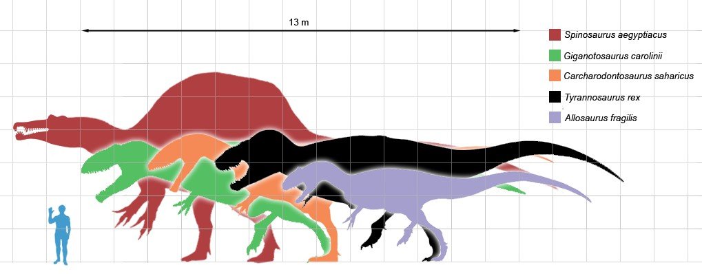 size comparison of dinosaurs