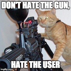 cat and gun meme
