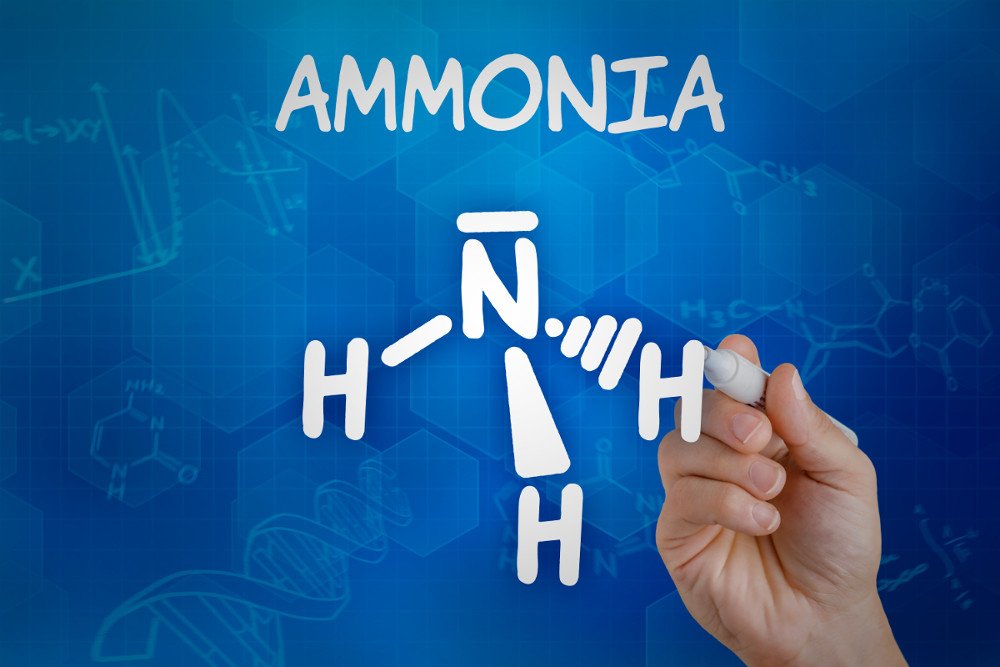 Is Ammonia an Acid or Base?