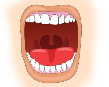 Uvula in open mouth vector