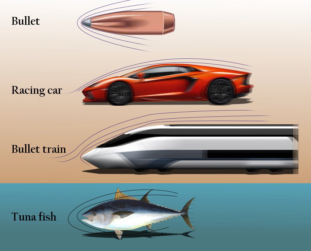 Streamlined objects bulet racing car bullet train tuna fish