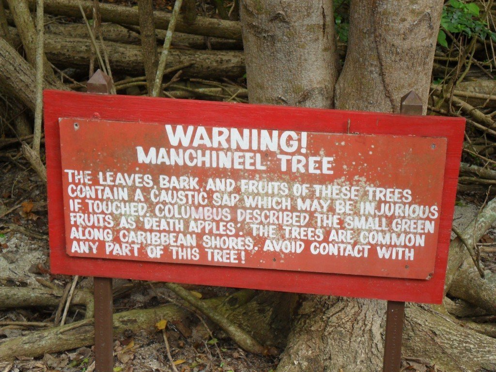 Manchineel tree warning board