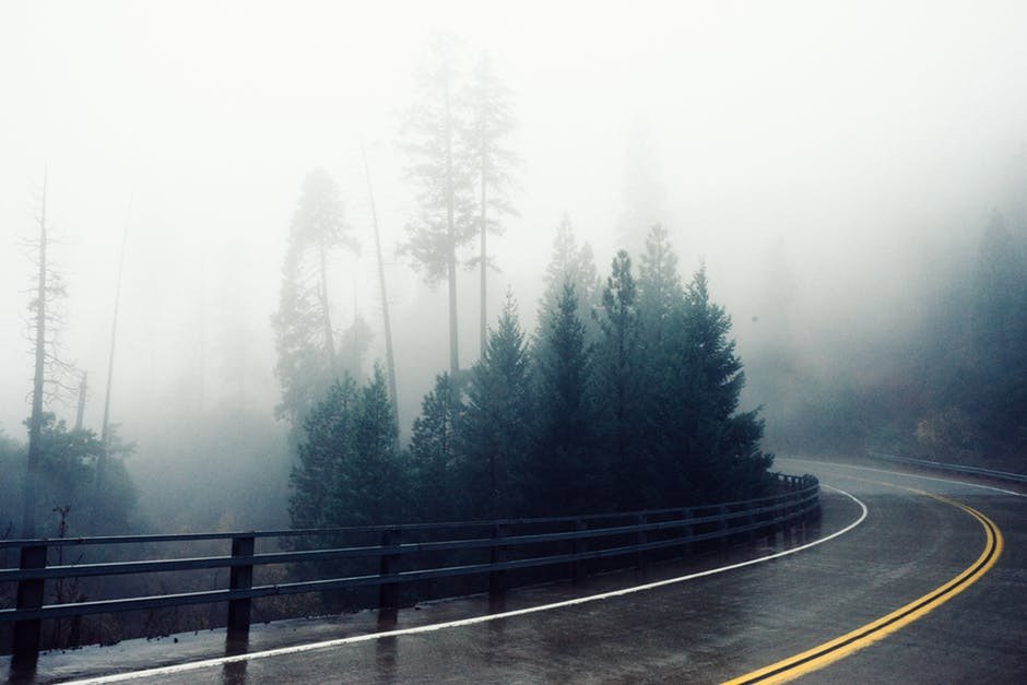 Fog on road