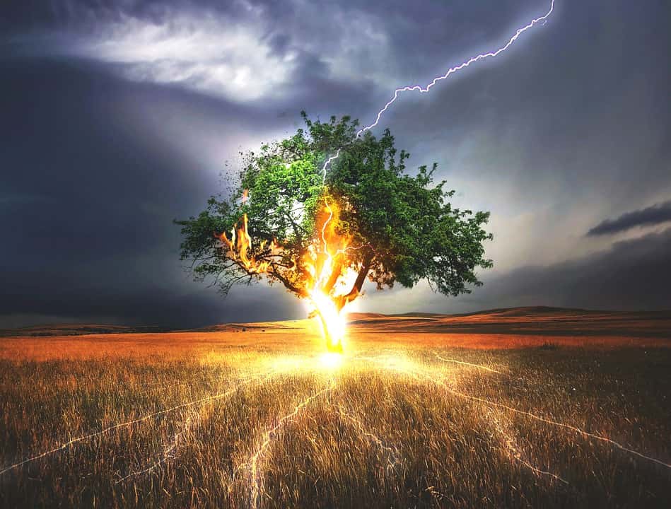 Lightning strick on tree
