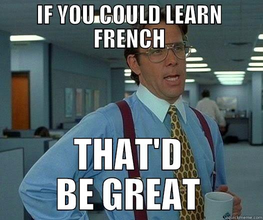 I f you could learn french that'd be great meme