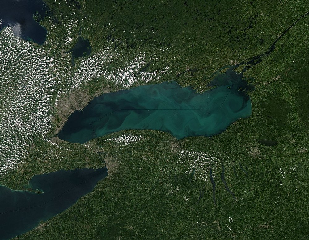 Phytoplankton bloom in Lake Ontario