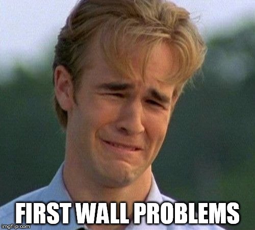 First wall problems meme