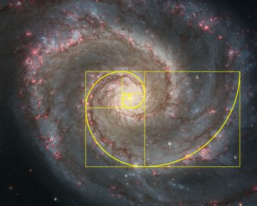 Golden spiral galaxy (Logarithmic spiral)