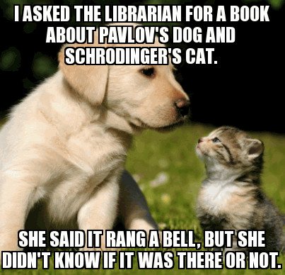 I asked the librarian for a book about pavlov's dog and schrodinger's cat she said it rang a bell, but she didn't know if it was there or not meme