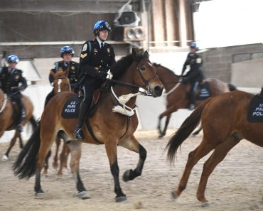 Mounted cops riding