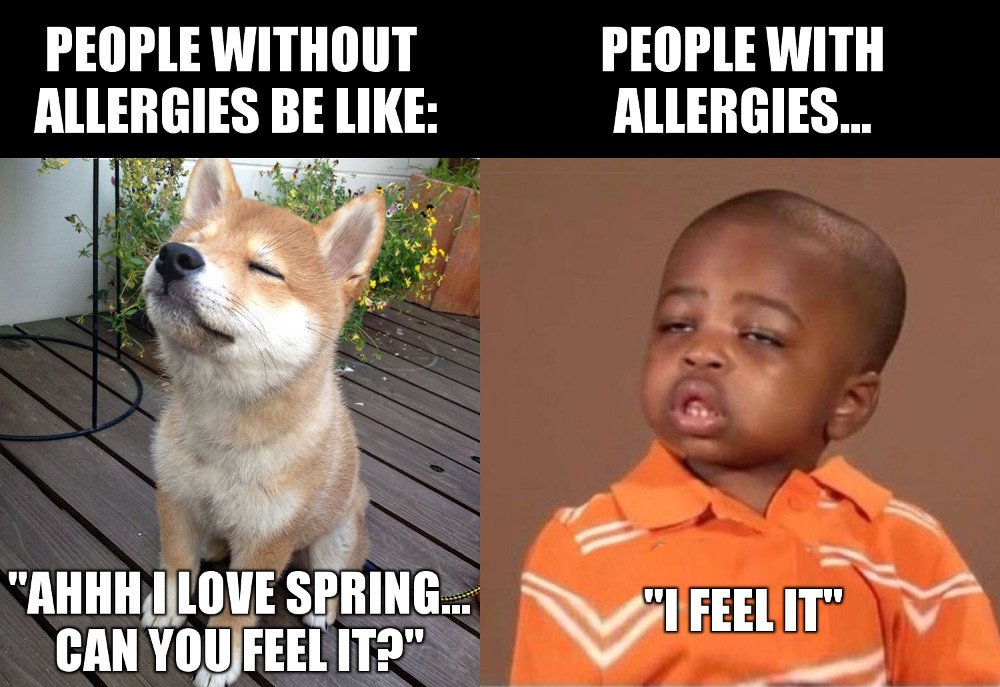 People without allergies be like ahhh i love spring can you feel it people with allergies i feel it