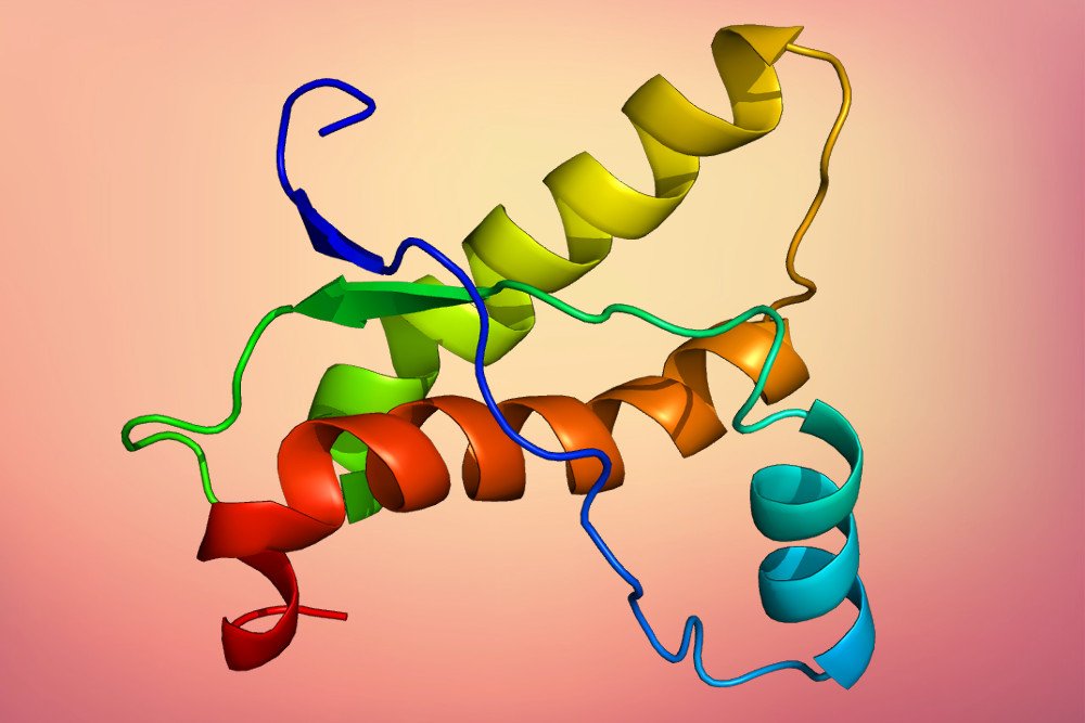Structure of the PRNP protein prions