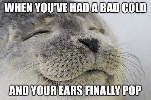 When you've had a bad cold and your ears finally pop meme