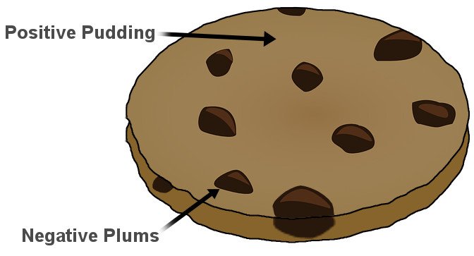 Plum pudding model