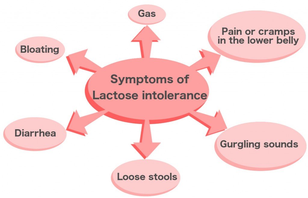 Symptoms of lactose intolerance